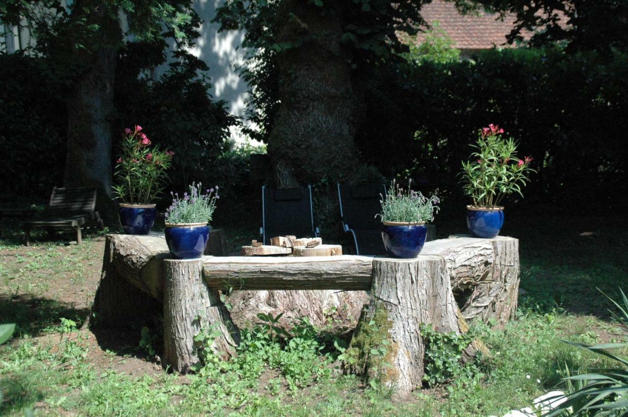 Vila Le Nid Des Oiseaux Cubjac Exteriér fotografie